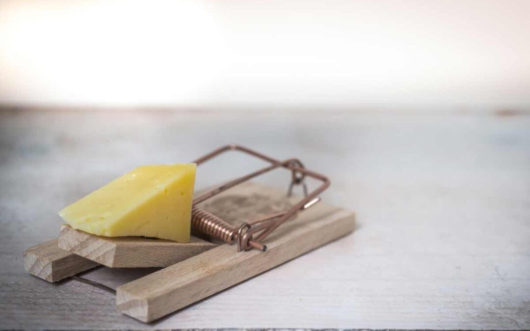 Avoid the lure of sin