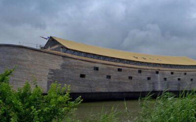 The Ark and the Rapture